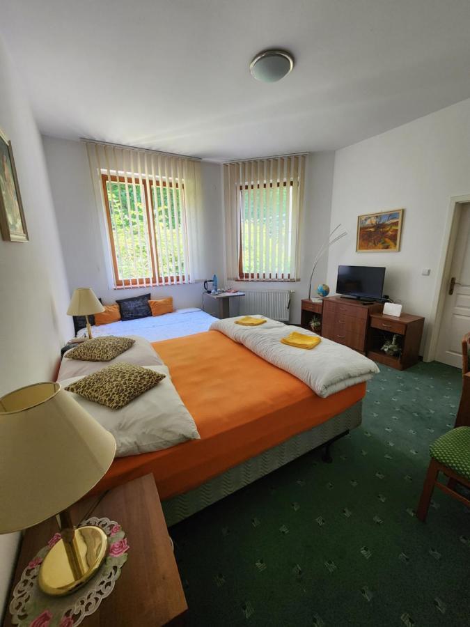 Kristoff Plaza Trencianske Teplice Apartment เตร็นชีน ภายนอก รูปภาพ
